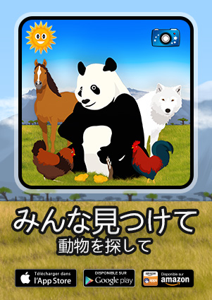 みんな見つけて：動物を探して